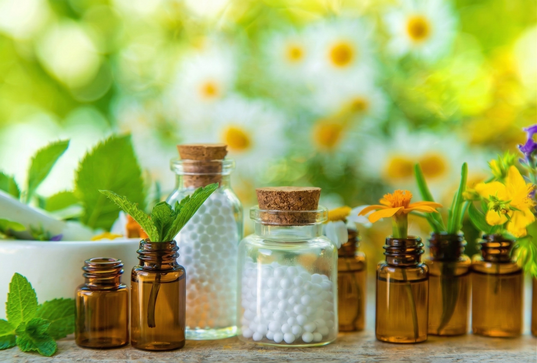 Holistic Wellness: Simple Homeopathic Habits for Daily Life